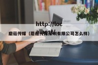 磨菇传媒（蘑菇传媒深圳有限公司怎么样）